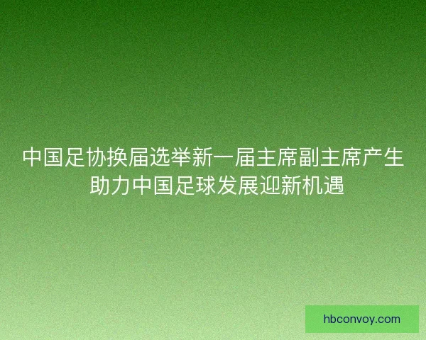 中国足协换届选举新一届主席副主席产生 助力中国足球发展迎新机遇